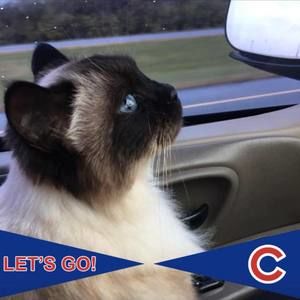 Meet your Posher, Jan